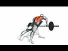https://image.noelshack.com/fichiers/2023/31/5/1691153893-incline-barbell-rows.jpeg