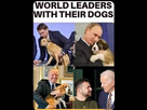 https://image.noelshack.com/fichiers/2023/31/6/1691189717-dog.jpg