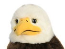 https://image.noelshack.com/fichiers/2023/32/7/1691960471-ayiiiiieagle2.jpg