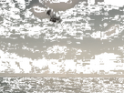 https://image.noelshack.com/fichiers/2023/33/2/1692121909-inshot-20230815-195123695.gif