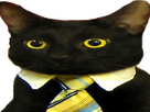 https://image.noelshack.com/fichiers/2023/33/5/1692369773-chatlarge.png