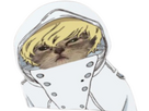 https://image.noelshack.com/fichiers/2023/33/6/1692440839-gremmy-chat.png