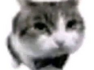 https://image.noelshack.com/fichiers/2023/34/2/1692728305-nada.png