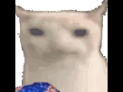 https://image.noelshack.com/minis/2023/34/3/1692808717-cat-ruffles.png