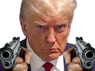 https://image.noelshack.com/fichiers/2023/34/5/1692963445-trumgun2.png