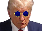 https://image.noelshack.com/fichiers/2023/34/5/1692963445-trumplunette.png