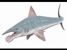 https://image.noelshack.com/fichiers/2023/34/7/1693145460-helicoprion-bessonovi1db.jpg