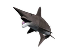 https://image.noelshack.com/fichiers/2023/34/7/1693145465-helicoprion-nt-small.jpg