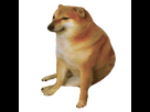 https://image.noelshack.com/minis/2023/34/7/1693153005-5d7e934674f0b6ddd90e569e78a4192d.png