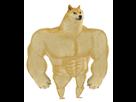 https://image.noelshack.com/minis/2023/34/7/1693153025-full.png