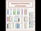 https://image.noelshack.com/fichiers/2023/35/2/1693344700-what-hormones-correspond-to-an-emotion.jpg