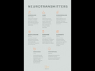 https://image.noelshack.com/fichiers/2023/35/2/1693344751-liv-health-neurotransmitters.jpg