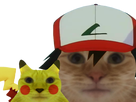 https://image.noelshack.com/fichiers/2023/35/4/1693500776-1642975359-sacha-pikachu-chat.png