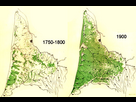 https://image.noelshack.com/minis/2023/35/5/1693566458-le-developpement-de-la-foret-des-landes.png