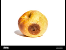 https://image.noelshack.com/fichiers/2023/35/6/1693660702-pomme-pourrie-sur-fond-blanc-h4aac0.png