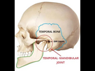 https://image.noelshack.com/fichiers/2023/35/6/1693664496-tmj-dentist-in-the-woodlands-tx-restore-tmj-sleep-therapy.jpg