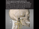 https://image.noelshack.com/fichiers/2023/35/6/1693665673-the-many-symptoms-of-tmj-beyond-the-jaw-neck-muscle-spasms-myofascial-pain-breathing-problems-digestive-disorders-and-dizziness.jpg