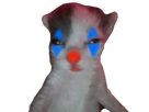 https://image.noelshack.com/fichiers/2023/36/1/1693804204-aucun.png
