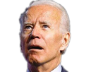 https://image.noelshack.com/fichiers/2023/36/2/1693941974-1608347387-biden-flip-miroir.png
