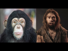 https://image.noelshack.com/fichiers/2023/36/5/1694180556-evolution-homme-chimpanzes.jpeg