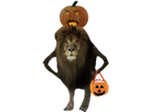 https://image.noelshack.com/fichiers/2023/37/2/1694506224-lionhalloween.png