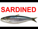 https://image.noelshack.com/fichiers/2023/37/3/1694586386-sardined.jpg