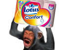 https://image.noelshack.com/fichiers/2023/37/5/1694770810-pq.png