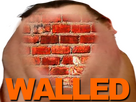 https://image.noelshack.com/fichiers/2023/37/6/1694841440-magalax-wall.png