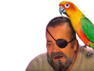 https://www.noelshack.com/2023-37-7-1694972655-1467309317-risitas156.png