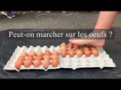 https://image.noelshack.com/fichiers/2023/38/5/1695413686-image.png
