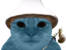 https://image.noelshack.com/fichiers/2023/39/1/1695669061-smurfcat.png