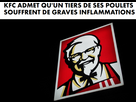 https://image.noelshack.com/fichiers/2023/39/2/1695744974-poulet.png