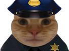 https://image.noelshack.com/fichiers/2023/39/4/1695921265-chat-police.png