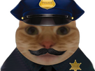 https://image.noelshack.com/fichiers/2023/39/4/1695921754-chat-police2.png