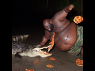 https://image.noelshack.com/fichiers/2023/39/7/1696180477-negropizzalacoste2.jpeg