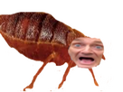https://image.noelshack.com/minis/2023/40/5/1696615219-punaise2.png