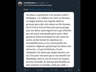 https://image.noelshack.com/fichiers/2023/41/6/1697285675-ab4c4aed-442d-4796-af7a-258a4e8cdf07.png