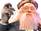 https://image.noelshack.com/minis/2023/41/7/1697375055-senateur-dumbledore.png