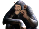 https://image.noelshack.com/fichiers/2023/42/1/1697408077-risitas-chimpanzee-sticker.png