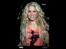 https://image.noelshack.com/fichiers/2023/42/2/1697568040-shakira.jpg