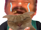 https://image.noelshack.com/fichiers/2023/43/1/1698067228-ripmtzoom.png