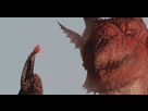 https://image.noelshack.com/fichiers/2023/43/1/1698086379-dragons-dogma-dark-arisen.gif