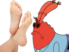 https://image.noelshack.com/fichiers/2023/43/2/1698160868-krabs-feet.png