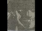 https://image.noelshack.com/fichiers/2023/43/3/1698263745-1698254371752202.png