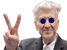https://image.noelshack.com/fichiers/2023/43/4/1698329120-lynch.png