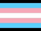 https://image.noelshack.com/minis/2023/43/6/1698504505-255px-transgender-pride-flag-svg.png