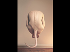 https://image.noelshack.com/fichiers/2023/43/7/1698591117-queue.png