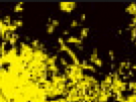 https://image.noelshack.com/fichiers/2023/43/7/1698598005-1-9de03ur7.png