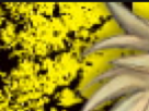 https://image.noelshack.com/fichiers/2023/43/7/1698598006-2-9de03ur7.png