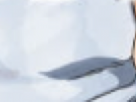 https://image.noelshack.com/fichiers/2023/43/7/1698598023-30-9de03ur7.png